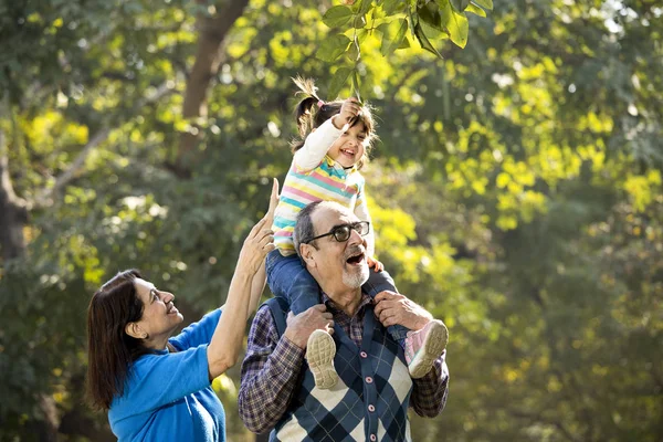 Grandmother with granddaughter sitting on grandfathers shoulder at park