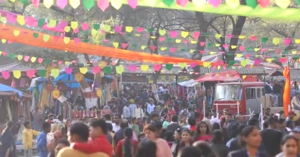 Crowd At Surajkund International Crafts Mela — Stockvideo