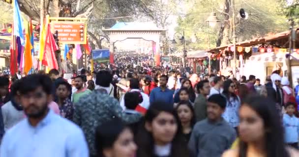 Crowd At Surajkund International Crafts Mela — Stockvideo