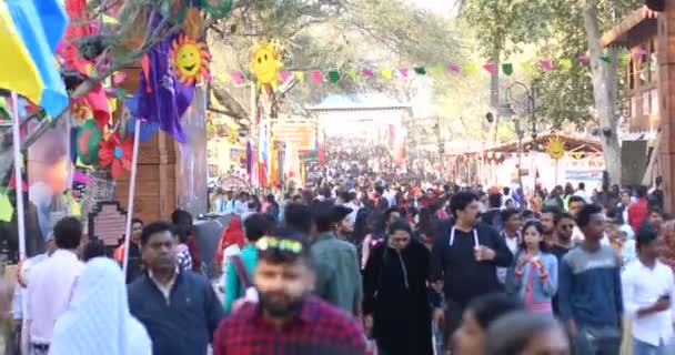 Crowd At Surajkund International Crafts Mela — Stock video