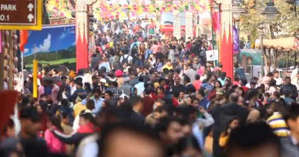 Crowd at Surajkund International Crafts Mela — Stockvideo