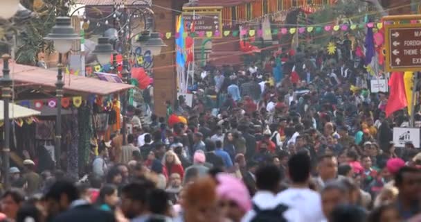 Crowd at Surajkund International Crafts Mela — Stockvideo
