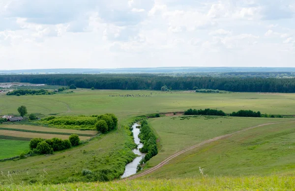 Kırsal alanda yeşil tarlalar ve mavi gökyüzü