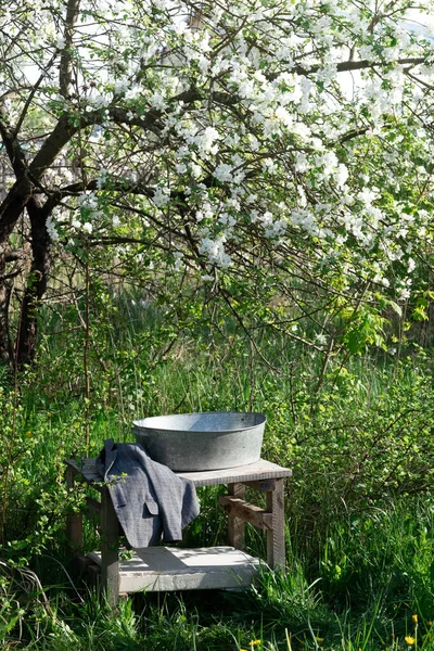 Sommar Elegant Trädgård Landskap — Stockfoto