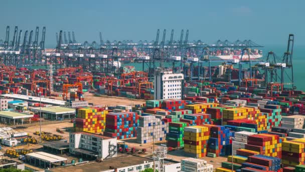 Εμπορευματοκιβωτίων λιμάνι της Shenzhen — Αρχείο Βίντεο