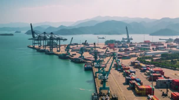 Port kontainer dari Shenzhen — Stok Video