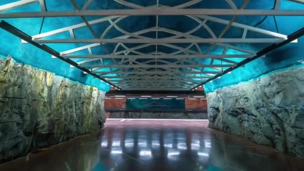 STOCCOLMA, SVEZIA - FEBBRAIO 2020: Timelapse degli interni della stazione della metropolitana. Trasporti e attrazione turistica . — Video Stock