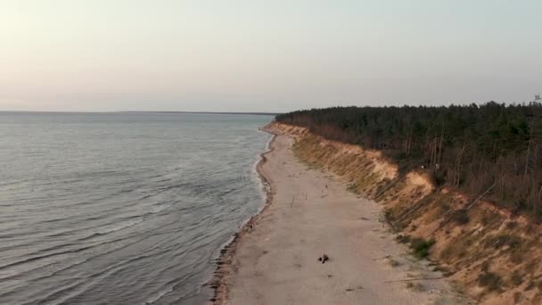 MAR BÁLTICO, Letonia - JULIO, 2019: Vista panorámica aérea de las olas marinas, la costa báltica, la playa y el bosque . — Vídeos de Stock