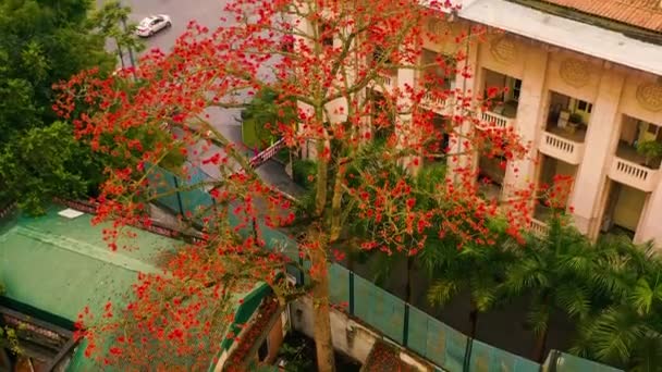 HANOI, VIETNAM - ABRIL, 2020: Vista aérea de las casas techos y el árbol de uno de los distritos de la ciudad de Hanoi . — Vídeos de Stock