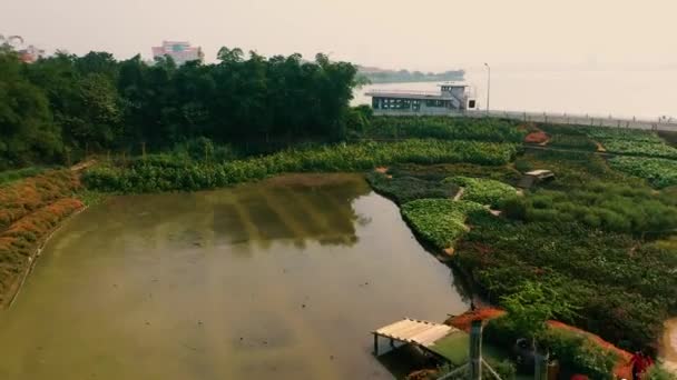 HANOI, VIETNAM - ABRIL, 2020: Vista aérea del jardín de flores y vista del lago oeste de Hanoi en primavera . — Vídeo de stock