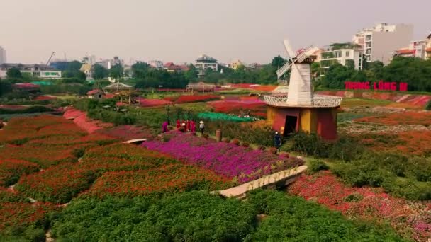 HANOI, VIETNAM - KWIETNIA, 2020: Widok z lotu ptaka na ogród kwiatowy z młynem dekoracyjnym w pobliżu zachodniego jeziora Hanoi. — Wideo stockowe