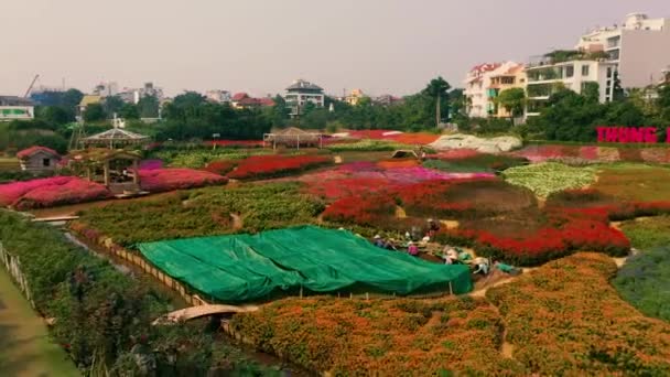 HANOI, VIETNAM - Nisan 2020: Hanoi Gölü 'nün batısındaki verandalı ve kanallı çiçek bahçesinin insansız hava aracı görüntüsü. — Stok video