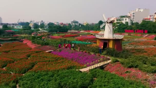 HANOI, VIETNAM - APRIL, 2020: Aerial panorama view of the flower garden with decorative mill near west lake of Hanoi. — Stock Video