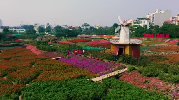 HANOI, VIETNAM - Duben, 2020: Letecký panorama s výhledem na květinovou zahradu s dekorativním mlýnem u západního jezera Hanoje. — Stock video