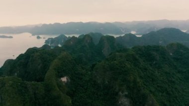 HALONG BAY, VİETNAM - Nisan 2020: Vietnam 'da Halong Körfezi yağmur ormanlarıyla kaplı taş adaların hava manzarası.