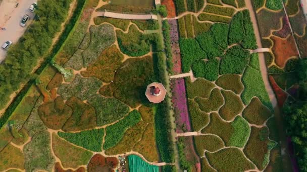 HANOI, VIETNAM - APRIL, 2020: Aerial view of the flower garden with decorative mill not far from the west lake of Hanoi. — Stock Video