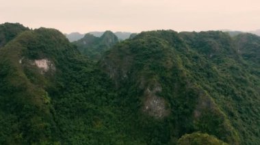 HALONG BAY, VİETNAM - Nisan 2020: Vietnam 'da Halong Körfezi yağmur ormanlarıyla kaplı taş adaların hava manzarası.