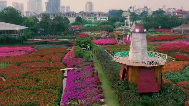 HANOI, VIETNAM - APRIL, 2020: Aerial panorama view of the flower garden with decorative mill in Hanoi. — Stock Video