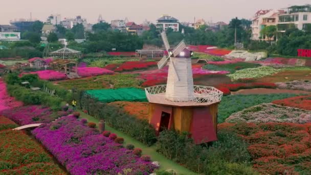 HANOI, VIETNAM - APRIL, 2020: Aerial panorama view of the flower garden with decorative mill in Hanoi. — Stock Video