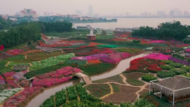 HANOI, VIETNAM - APRIL, 2020: Aerial view of the flower garden with decorative mill and view of the west lake of Hanoi. — Stock Video