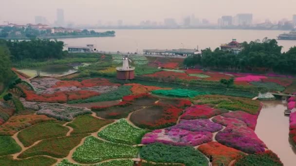 HANOI, VIETNAM - APRIL, 2020: Aerial view of the flower garden with decorative mill and view of the west lake of Hanoi. — Stock Video