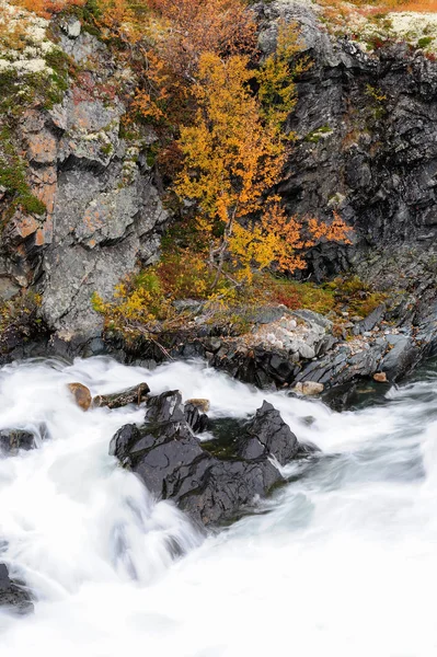 Automne sur une rivière sauvage Driva — Photo