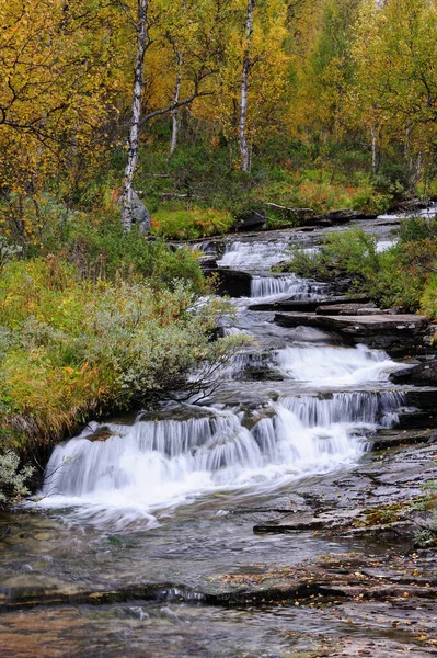 Paysage fluvial en automne, plat, suédois — Photo