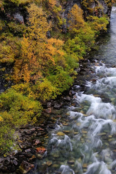 Canyon Driva Automne Parc National Dovrefjell Nord — Photo