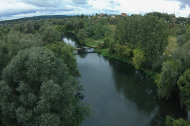 Nehir ortasında ağaçlar orman balıkgözü