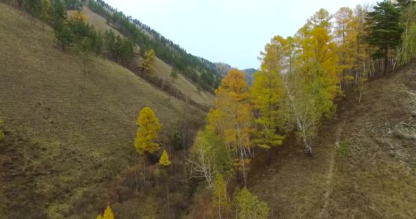 Осенний пейзаж, видеосъемка с квадрокоптера — стоковое видео