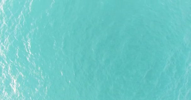 Yacht a vela viaggia verso il mare, girato da un'altezza — Video Stock
