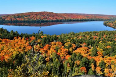 Kabinleri Rock iz hiking ise güzel ve renkli renklerde sonbaharın Algonquin Provincial Park.
