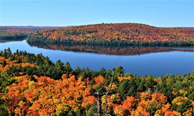 Kabinleri Rock iz hiking ise güzel ve renkli renklerde sonbaharın Algonquin Provincial Park.