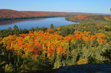 Kabinleri Rock iz hiking ise güzel ve renkli renklerde sonbaharın Algonquin Provincial Park.