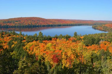 Kabinleri Rock iz hiking ise güzel ve renkli renklerde sonbaharın Algonquin Provincial Park.
