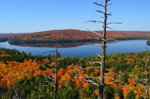 Los Hermosos Coloridos Colores Del Otoño Parque Provincial Algonquin Mientras — Foto de Stock