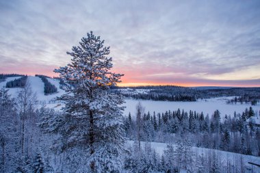 Finlandiya'daki kış