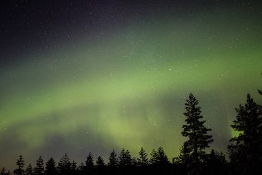 Kuzey ışıkları Lapland