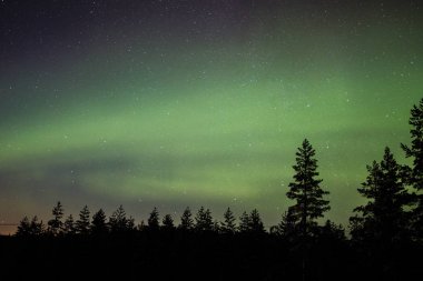 Kuzey ışıkları Lapland