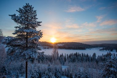 Finlandiya'daki kış