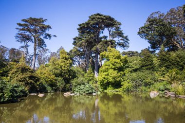 San Francisco parklar Haziran 2016