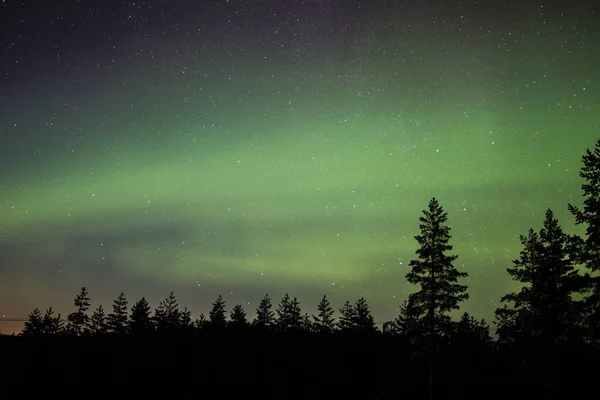 Northern Lights Lappland — Stockfoto