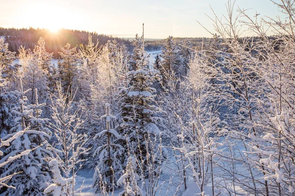 Zima ve Finsku — Stock fotografie