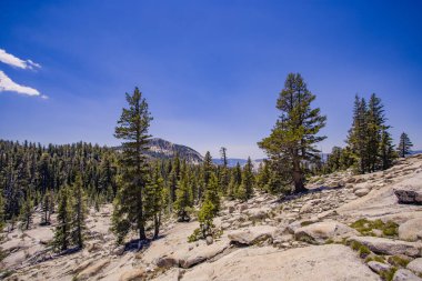 Yosemite Ulusal Parkı