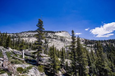 Yosemite Ulusal Parkı