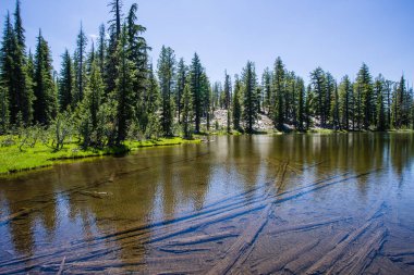 Yosemite Ulusal Parkı