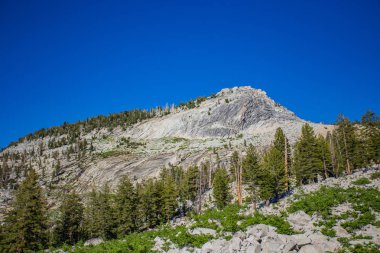 Yosemite Ulusal Parkı