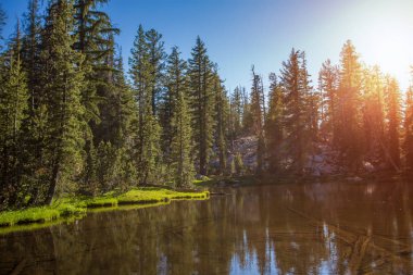 Yosemite Ulusal Parkı