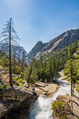 Yosemite Ulusal Parkı 