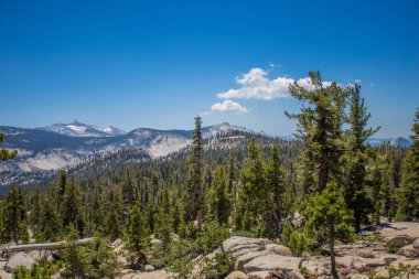 Yosemite Ulusal Parkı